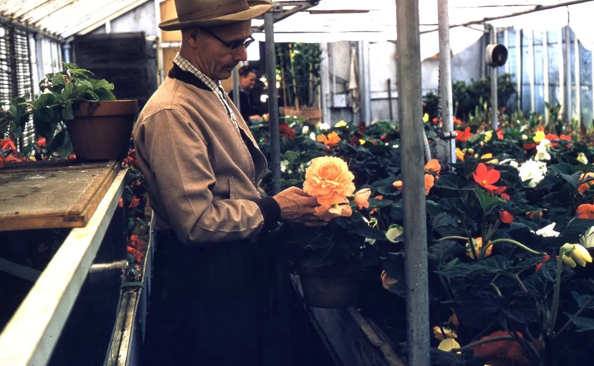 Harry Nelis at Nelis Nurseries, Holland Michigan